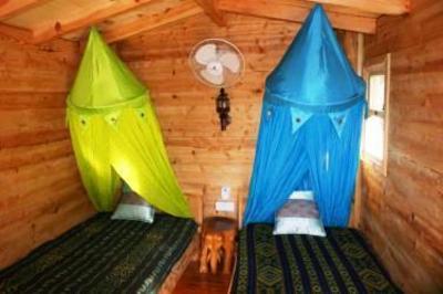 фото отеля Lazy Lizard Hotel