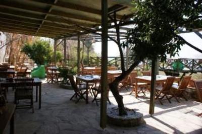 фото отеля Lazy Lizard Hotel