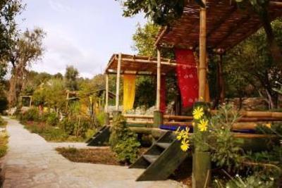 фото отеля Lazy Lizard Hotel