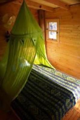 фото отеля Lazy Lizard Hotel