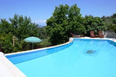 фото отеля Lazy Lizard Hotel
