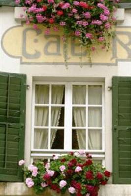 фото отеля Hotel Zum Alten Schweizer