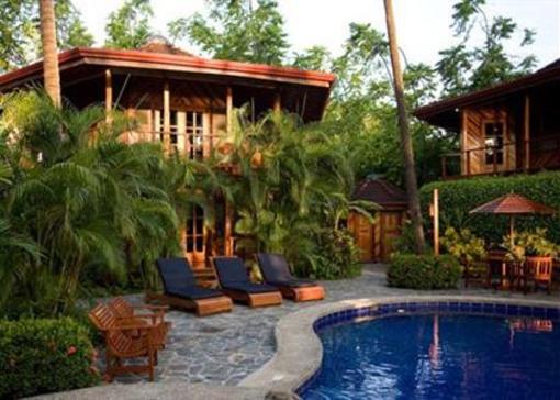 фото отеля Tambor Tropical Beach Resort
