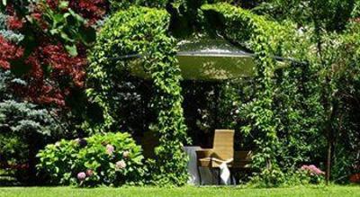 фото отеля Gartenresidence Zea Curtis