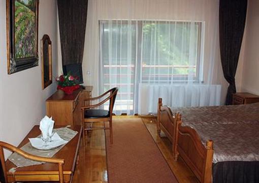 фото отеля Pension Curmatura Stezii