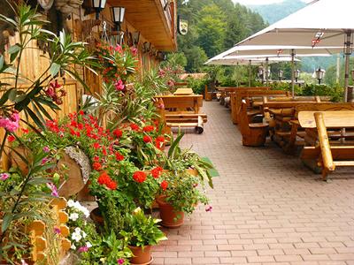 фото отеля Pension Curmatura Stezii