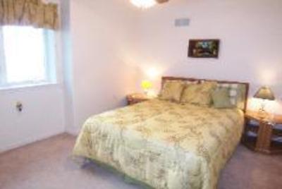 фото отеля Tree Top Bed and Breakfast
