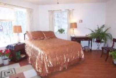 фото отеля Tree Top Bed and Breakfast