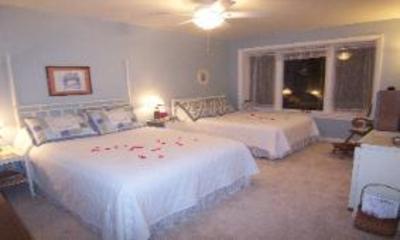 фото отеля Tree Top Bed and Breakfast