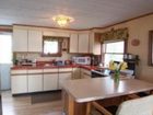 фото отеля Tree Top Bed and Breakfast