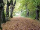 фото отеля Hotel Fohlenweide