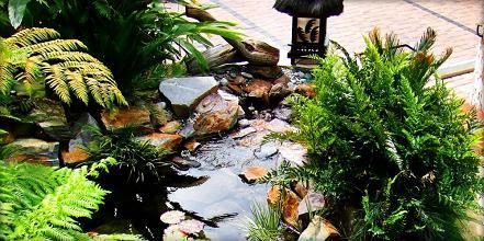 фото отеля Tradewinds Carmel