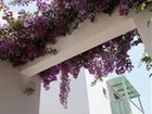 фото отеля Agapi Beach Hotel