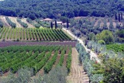фото отеля Agriturismo Bulichella Suvereto