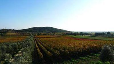 фото отеля Agriturismo Bulichella Suvereto