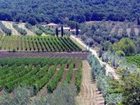 фото отеля Agriturismo Bulichella Suvereto