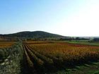 фото отеля Agriturismo Bulichella Suvereto