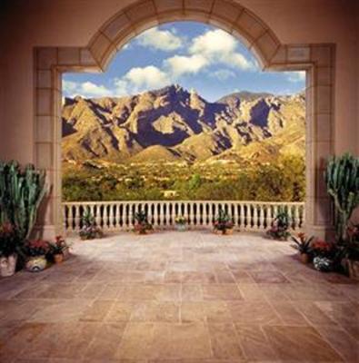 фото отеля Westin La Paloma Resort and Spa
