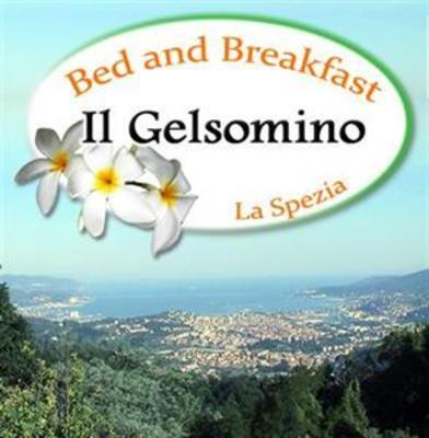 фото отеля Il Gelsomino Bed and Breakfast
