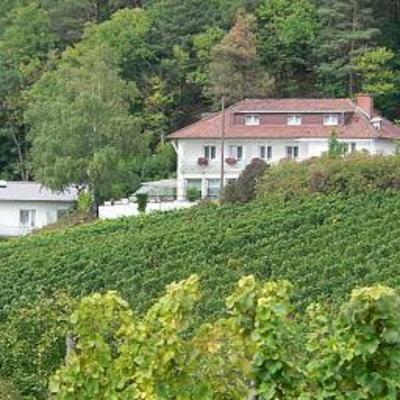 фото отеля Landhotel Annahof