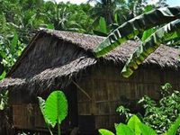 Tampat Do Aman Jungle Camp