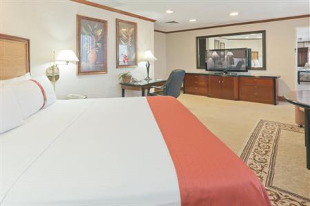 фото отеля Holiday Inn San Jose Aurola