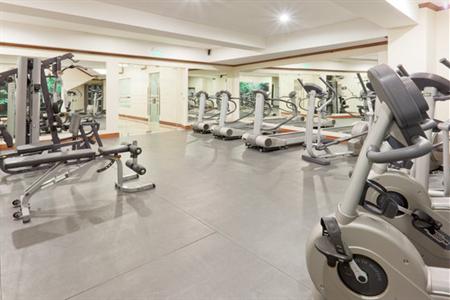 фото отеля Holiday Inn San Jose Aurola