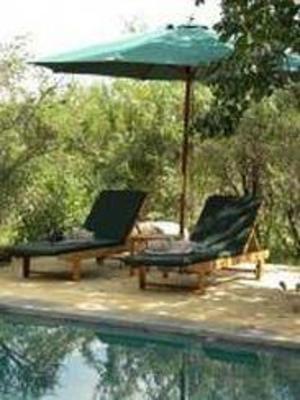 фото отеля Shikwari Luxury Bush Lodge