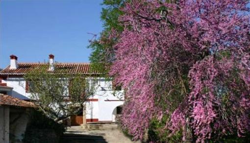 фото отеля Casa Rural El Recuerdo Trujillo (Spain)