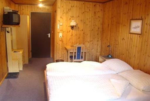 фото отеля Hotel Weisshorn Ritzingen