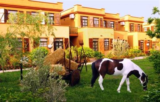 фото отеля Albena Club Hotel