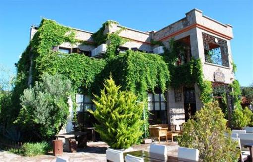 фото отеля Albena Club Hotel