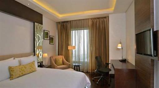 фото отеля Hilton Garden Inn Gurgaon Baani Square India