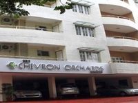 The Chevron Orchards