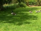фото отеля De Vere Venues Wokefield Park