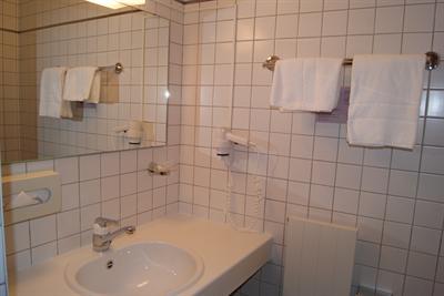 фото отеля Hotel Prealpina Lausanne