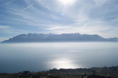 фото отеля Hotel Prealpina Lausanne