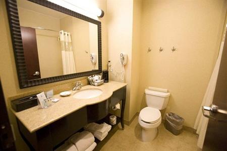 фото отеля Hampton Inn & Suites Dallas Desoto