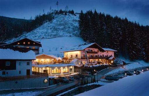фото отеля Gurtl Panoramahotel Haus im Ennstal