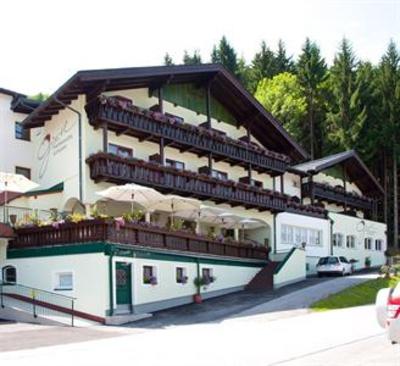 фото отеля Gurtl Panoramahotel Haus im Ennstal