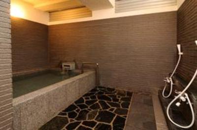 фото отеля Hotel Iida