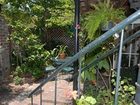 фото отеля Joan's On Jones B & B
