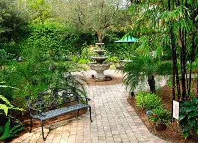 фото отеля Mango Inn Bed and Breakfast
