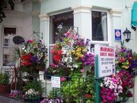 Mariners Guesthouse Plymouth (England)