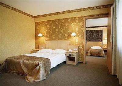 фото отеля Witek Hotel & Conference Centre Modlnica