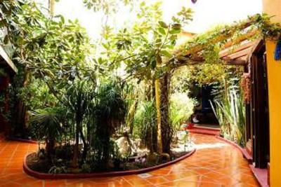 фото отеля Hotel Jardines del Centro San Cristobal de las Casas