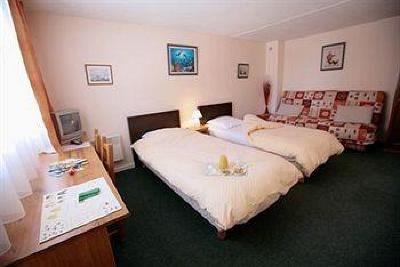 фото отеля Au Relais D'Alsace Hotel Rouffach