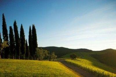 фото отеля Castiglion Del Bosco Hotel