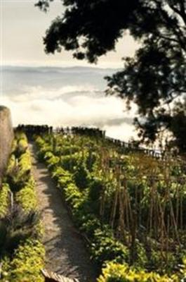 фото отеля Castiglion Del Bosco Hotel