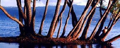фото отеля La Finca Resort Hotel Catemaco
